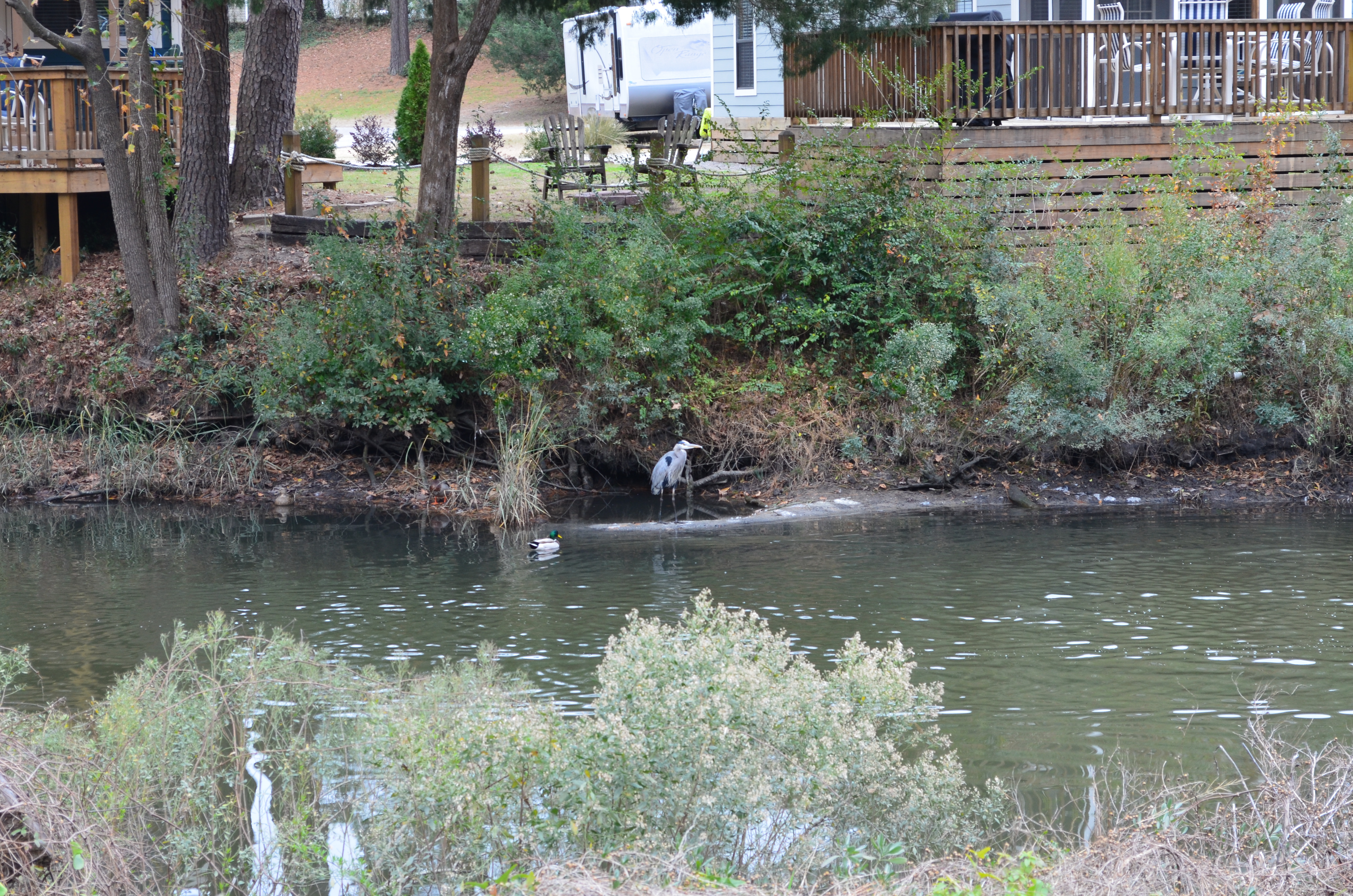 ./2017/21 - Myrtle Beach/ADSC_0807.JPG